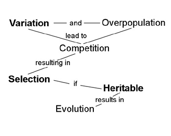 Concept map of evolutionary theory.
