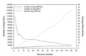 ORFans versus Genome Number: The proportion of ORFans in the genome, as compared to the total number of sequenced genes. As we increase the number of genes sequenced, the percent of ORFans fall. As of 2003, only 5% of long ORFans (ORF's that are unlikley to be simple sequencing artefacts) were unaccounted for. Figure 1, C from Siew, N and Fisher D, PROTEINS: Structure, Function, and Genetics 53:241 251 (2003)